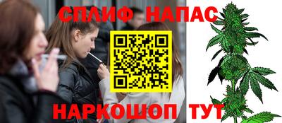 прущие грибы Малоярославец