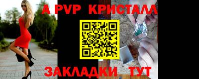 стаф Малгобек